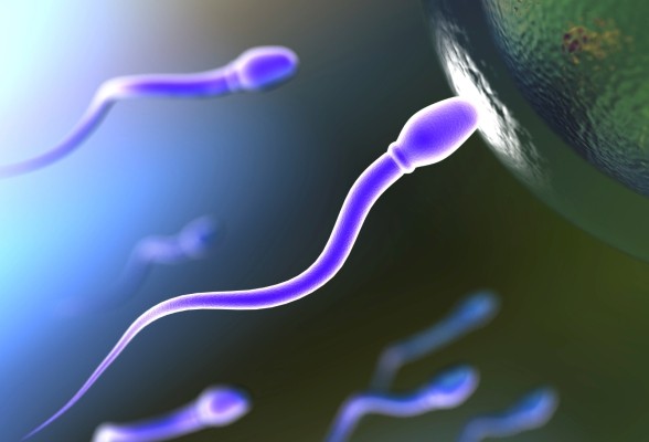Настрой для активации спермы