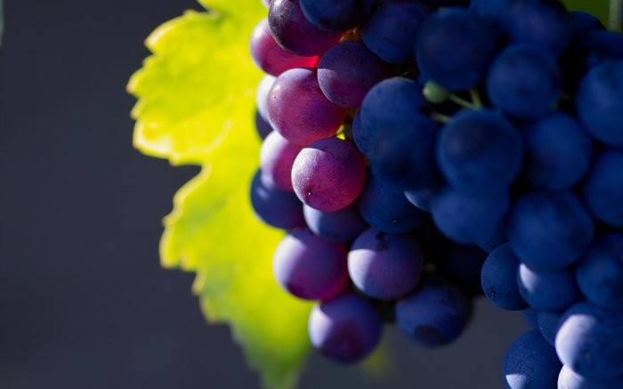 Виноград полезен  против диабета и заболеваний сердечно-сосудистой системы